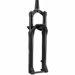 HORQUILLA DT SWISS F232 ONE 100MM 29