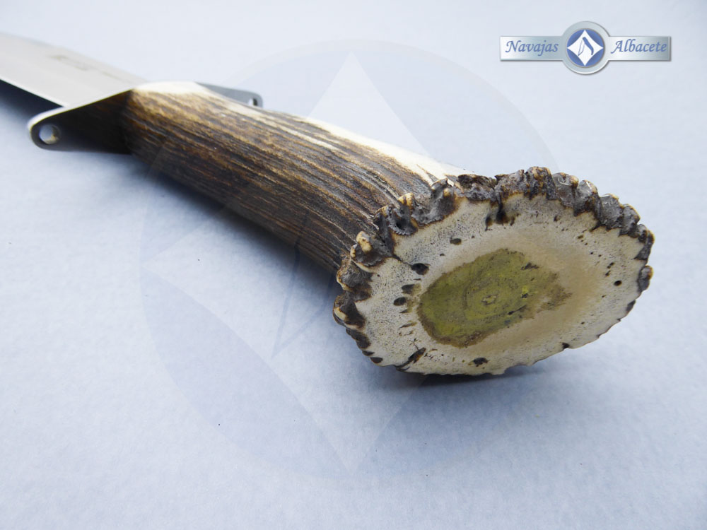 Cuchillo Bowie 25 - Imagen 4