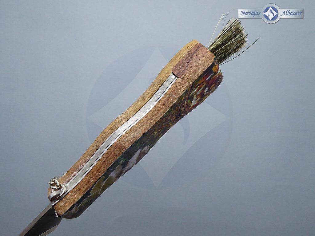 Navaja Setera - Imagen 5
