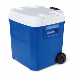 Nevera con Ruedas 60L Laguna Roller